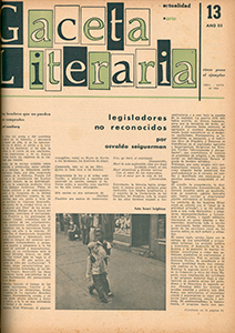 AméricaLee - Gaceta Literaria 13
